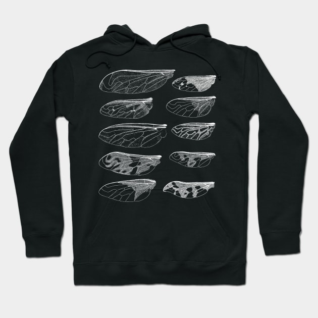 Mosquito Wings Hoodie by encycloart